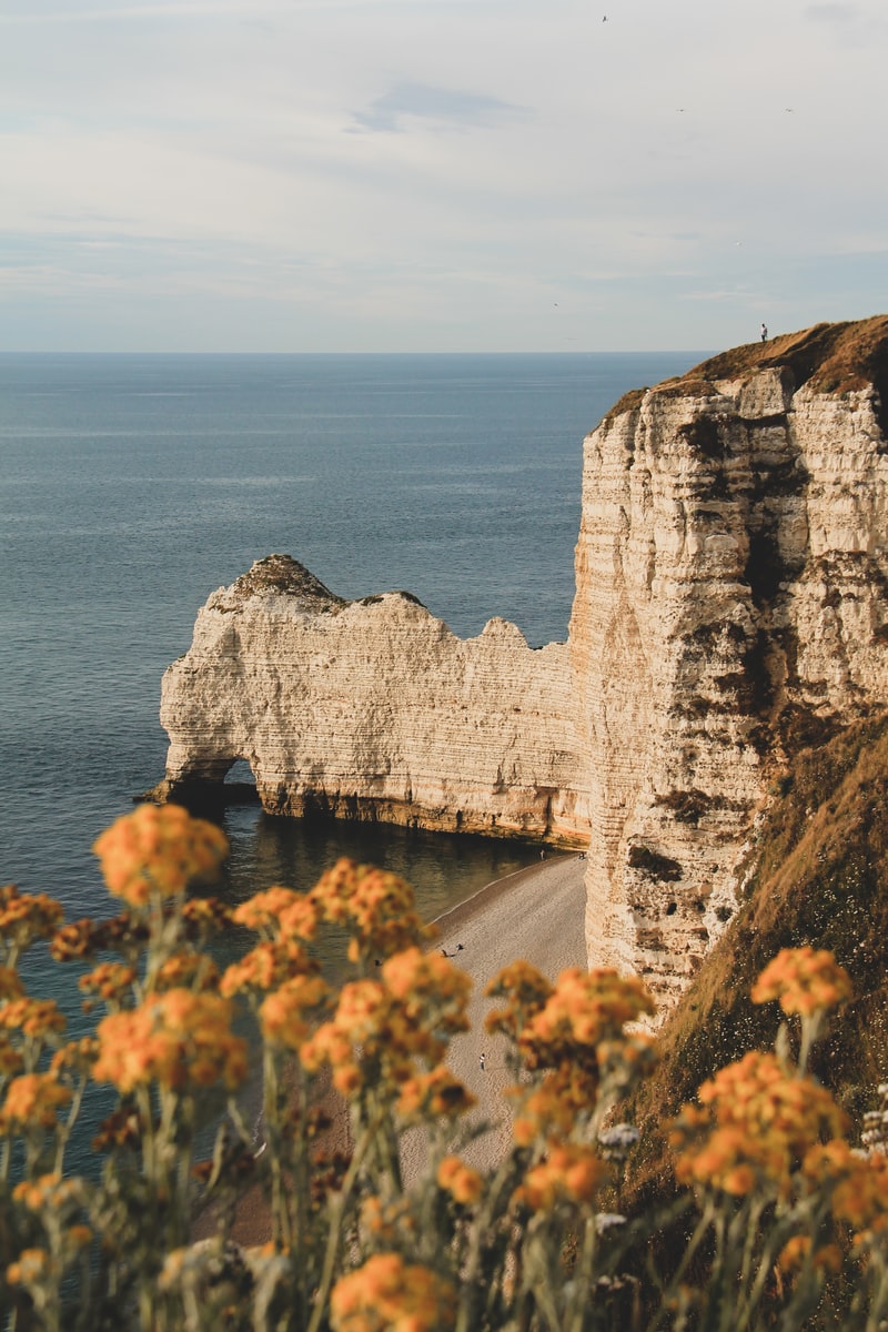 brown rock formation near body of water during daytime